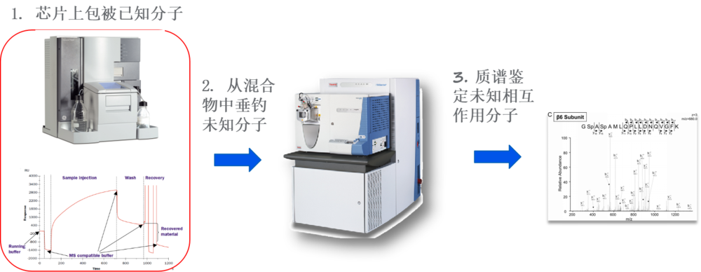 HY-SM-3001-4.png