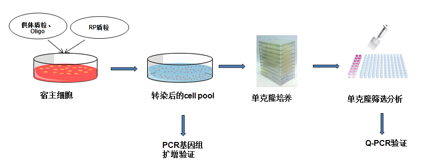 HY-SC-0006-2.png